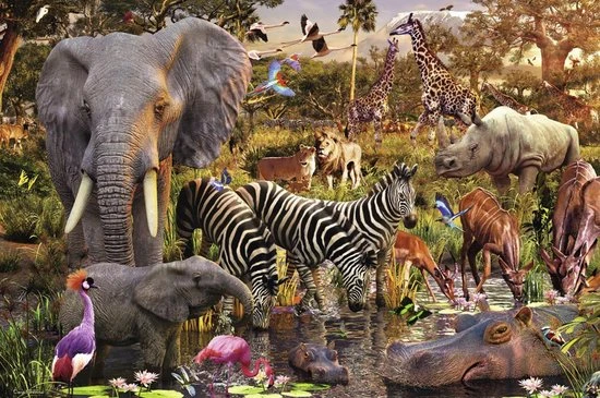 Ravensburger Puzzel Afrikaanse Dierenwereld - Legpuzzel - 3000 Stukjes 5 Ravensburger Puzzel Afrikaanse Dierenwereld - Legpuzzel - 3000 Stukjes - Afbeelding 3