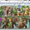 Ravensburger Puzzel Katjes In Het Rek - Legpuzzel - 500 Stukjes