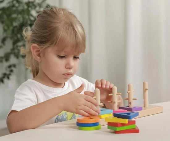 Vigatoys Viga Toys Vormenspel 10-delig Multicolor 10 Vigatoys Viga Toys Vormenspel 10-delig Multicolor - Afbeelding 8