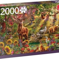 Jumbo Premium Collection Puzzel Magische Bos Bij Zonsondergang - Legpuzzel - 2000 Stukjes