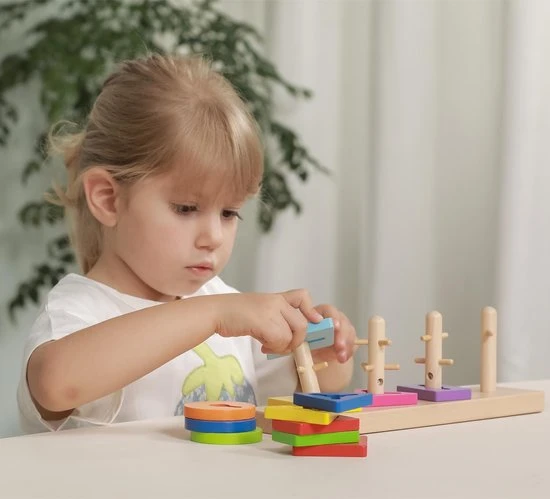 Vigatoys Viga Toys Vormenspel 10-delig Multicolor 9 Vigatoys Viga Toys Vormenspel 10-delig Multicolor - Afbeelding 7