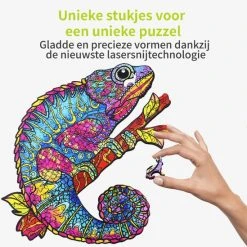 Exporteren puzzels winkel -Exporteren puzzels winkel 550x549 41