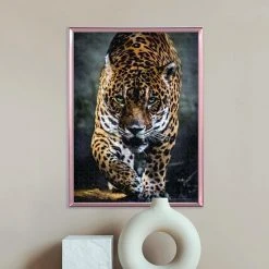 Clementoni Puzzels Voor Volwassenen - Walk Of The Jaguar, Puzzel 1000 Stukjes, 14-99 Jaar - 39326 -Exporteren puzzels winkel 550x550 629