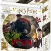 Tucker's Fun Factory 3D Image Puzzel - Harry Potter - Hogwarts Express (500) 1 Tucker's Fun Factory 3D Image Puzzel - Harry Potter - Hogwarts Express (500) -Exporteren puzzels winkel 550x637